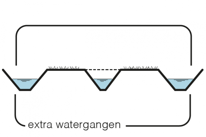 Maatregel 12 Extra watergangen